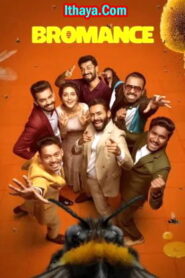 Bromance (2025 HD) [Telugu + Hindi] Full Movie Watch Online Free