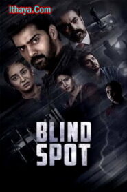 Blind Spot (2025) DVDScr Telugu Full Movie Watch Online Free